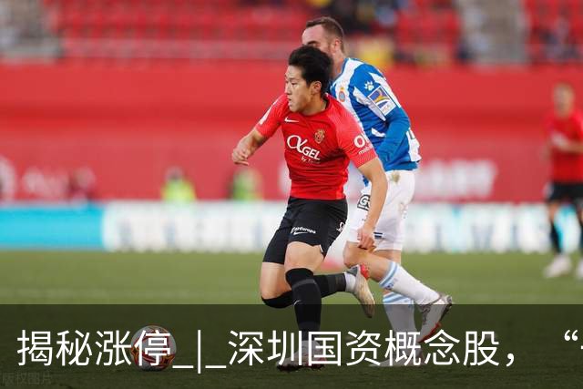 揭秘涨停 | 深圳国资概念股，“一字”涨停