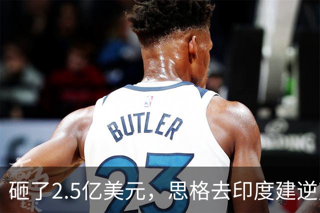 砸了2.5亿美元，思格去印度建逆变器储能厂，要给自己留足后路与筹码